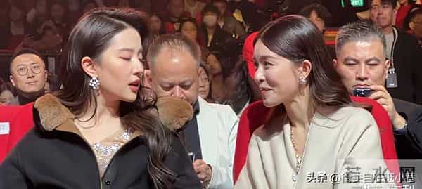 文咏珊真的肉眼可见超喜欢刘亦菲，全程侧身靠向她恨不得贴贴聊天