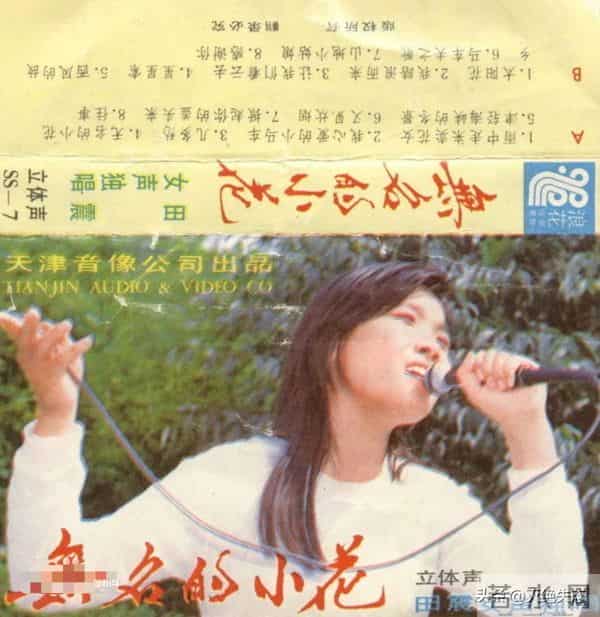 国内挣钱国外花！59岁定居澳洲的田震回国内开演唱会，遭网友群嘲