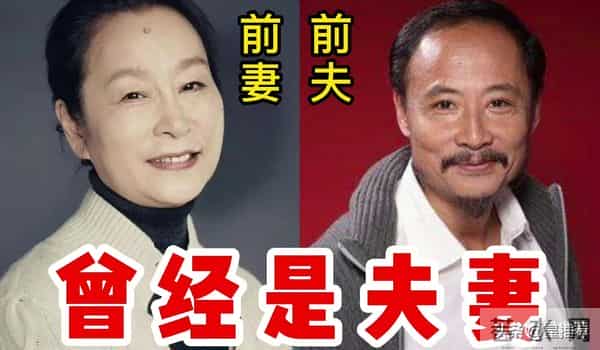 奚美娟孩子不是周野芒的