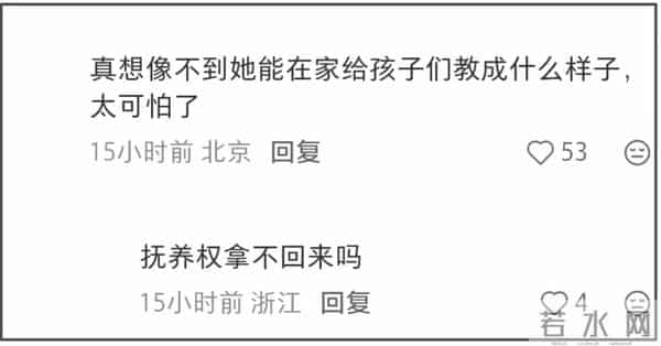 离婚2年，11岁还未上学的孩子，揭开了王力宏和李靓蕾仅剩的体面