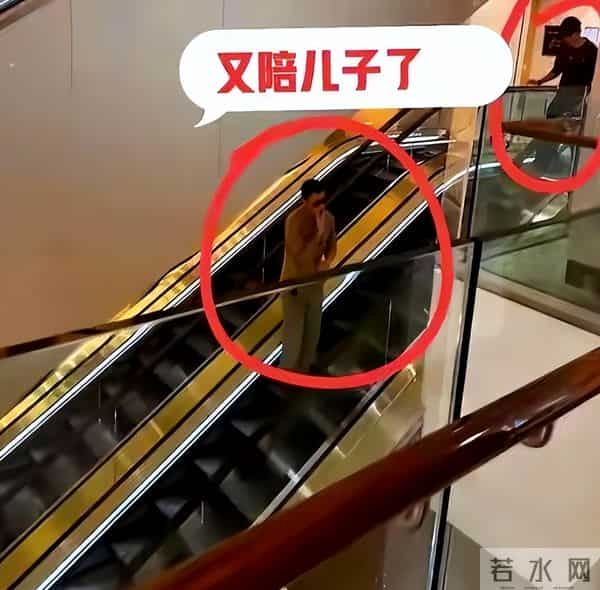 一步错步步错，看了谢霆锋对张柏芝的评价，才发现他们曾爱的很深