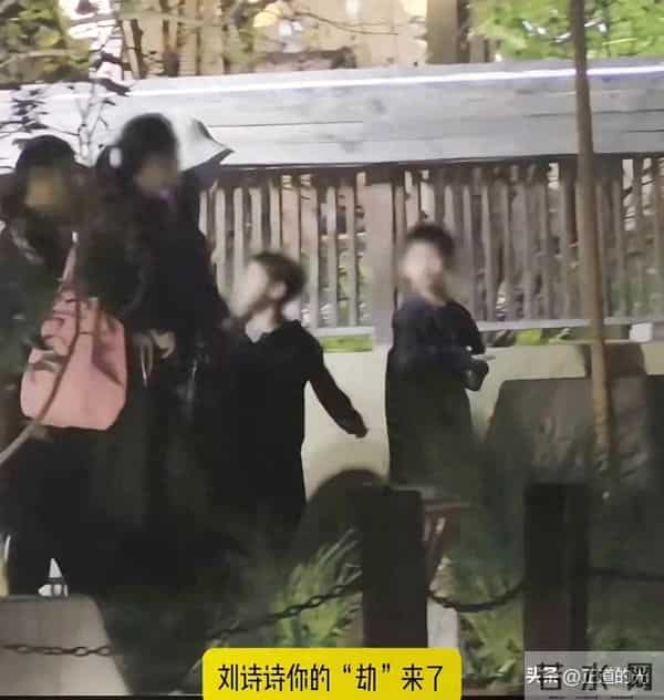 刘诗诗被6岁儿子牵手跑险些摔倒 步步不回家撒泼打滚 妈妈硬拖上车