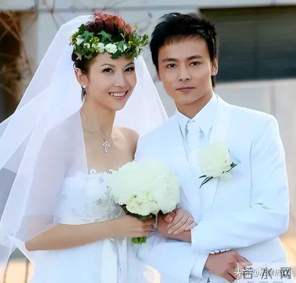 落地凤凰不如鸡！52岁蔡少芬为钱奔波瘦憔悴，被王晶讥讽不上进