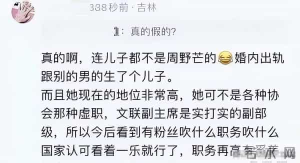 善恶终有报!奚美娟“单亲妈妈”人设崩塌,婚内出轨只是冰山一角