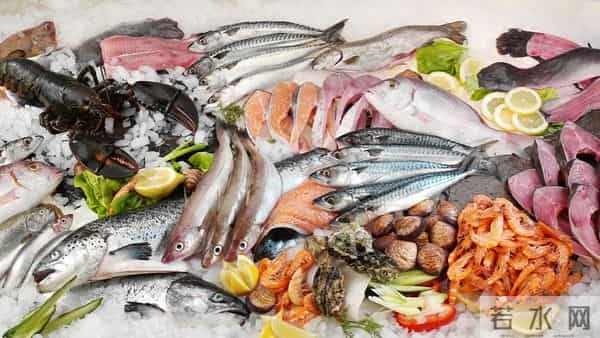 日本艺人广州演唱会如期举行，日媒猜测：“限日令”为何不一致？