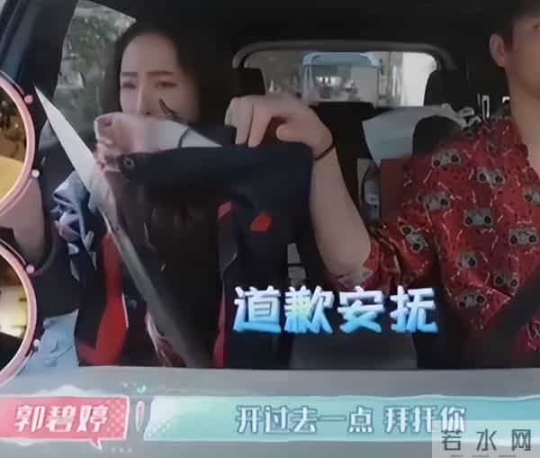 郭碧婷三亚海边捡石头,素颜眼窝深凹很疲惫,带5位助理照顾父亲