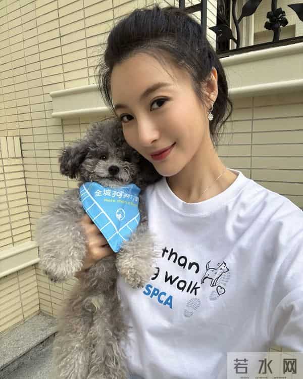 香港TVB女星的丈夫无力偿还巨额债务,破产期将无限延长