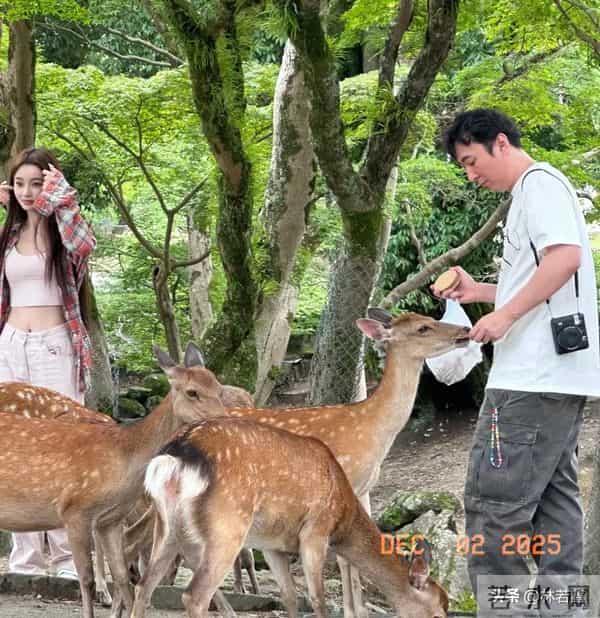 王思聪与懒懒新加坡喝田鸡粥被偶遇，网友：像乔杉和金晨在吃饭