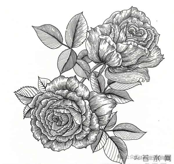 2025年钢笔画作品集，坚持就有收获