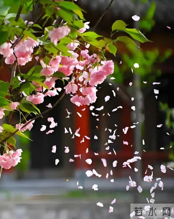 五首哲理古诗,深藏智慧,读懂受益一生