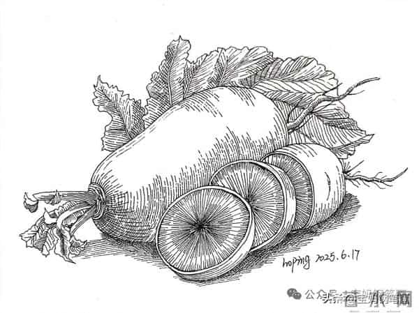 2025年钢笔画作品集，坚持就有收获