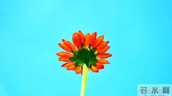 第三名:卯兔,12月4号,接下来11天,就要喜从天降!