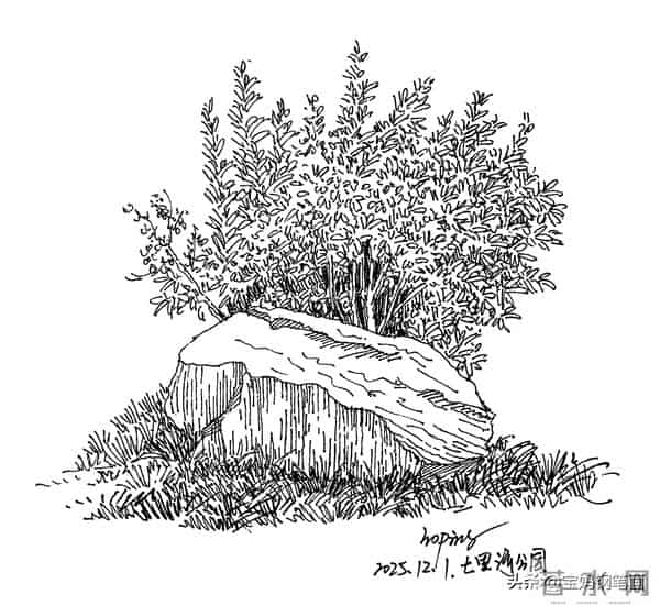 2025年钢笔画作品集，坚持就有收获