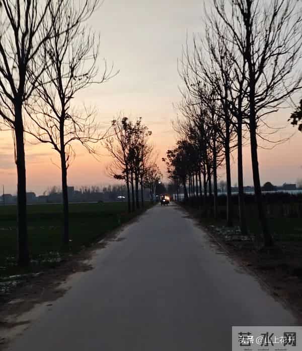 漂亮的五婶(174)五婶心里很感激马三