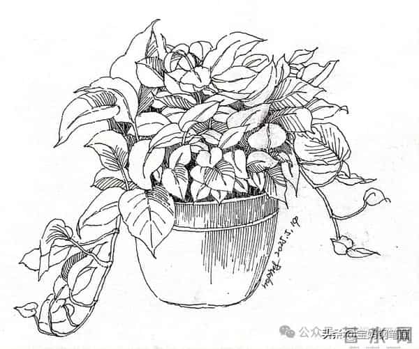 2025年钢笔画作品集，坚持就有收获