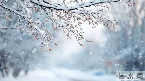 明日十月十五，老人说“十月十五怕天晴”，十月十五天晴啥预兆？