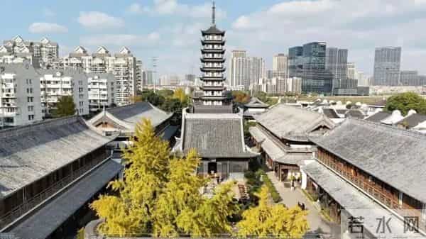普陀这对近700年的“老朋友”,进入最佳观景期→