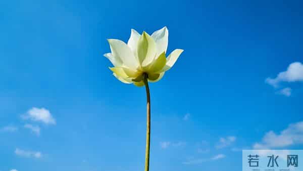 12月3日星期三,子鼠,可能会有事发生