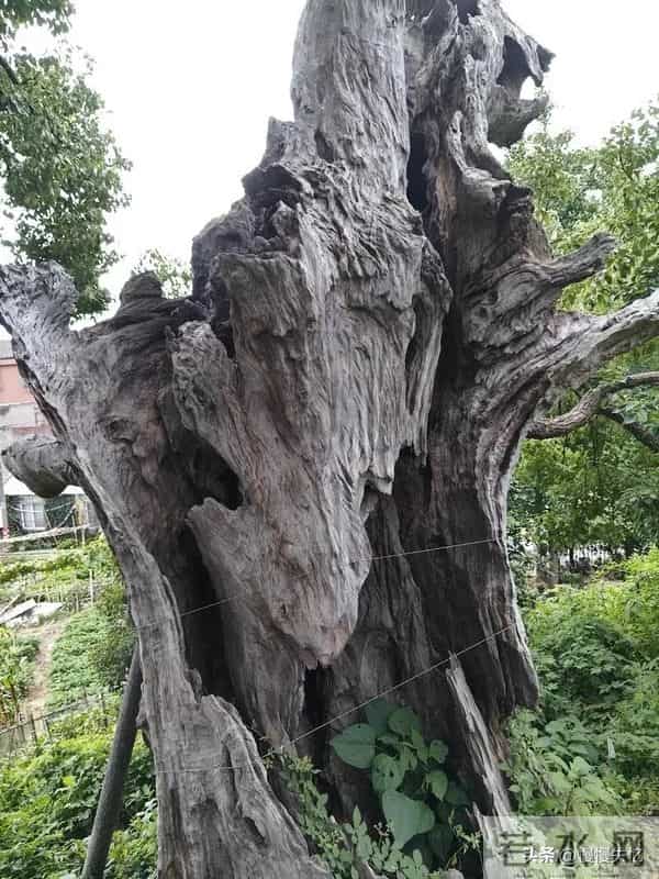 五首哲理古诗,深藏智慧,读懂受益一生