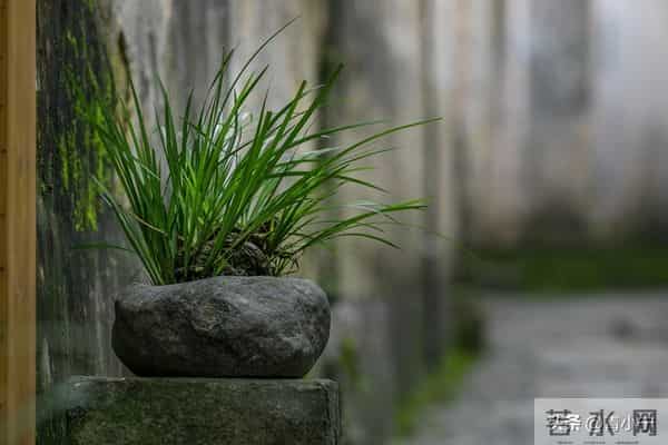 一个院的两个女人——殷勤（22）