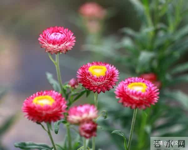 真正修行之人,会活成自己的光,觉醒后他们有这三种境界