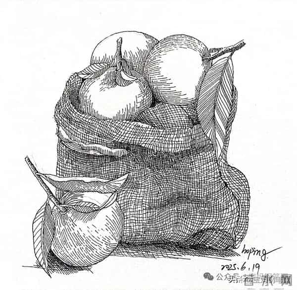 2025年钢笔画作品集，坚持就有收获