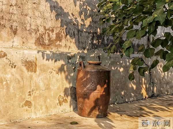 一个院的两个女人——出路（21）