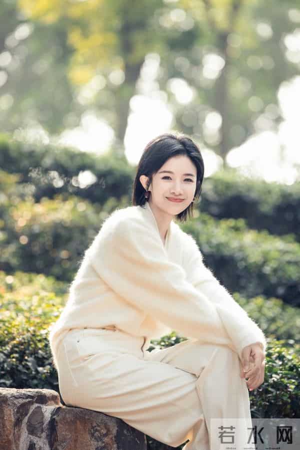 千年虎丘再闻诗咏,单霁翔、牛骏峰、蔡紫在虎丘登高