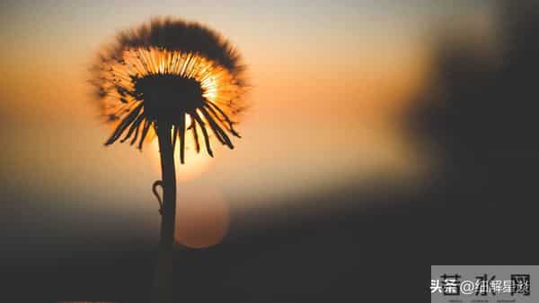 第三名：辰龙，12月3号，接下来10天，就要喜从天降！