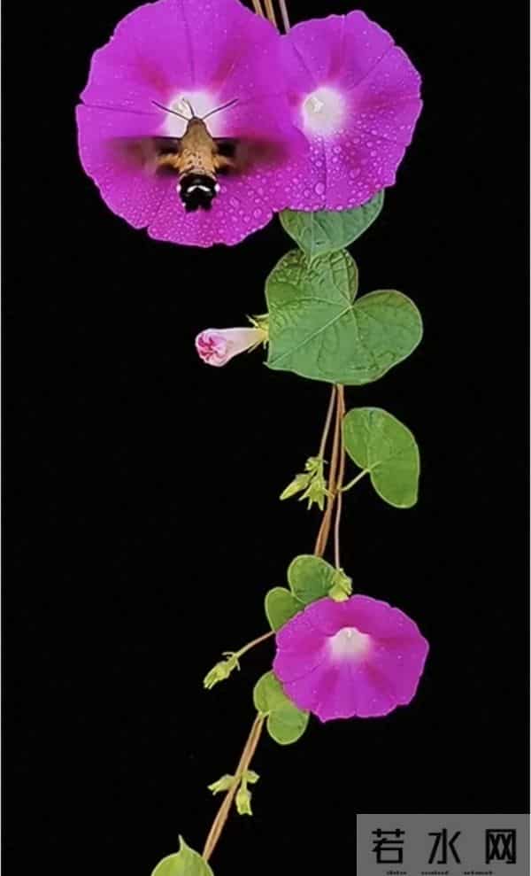 娘家有人（二十二）