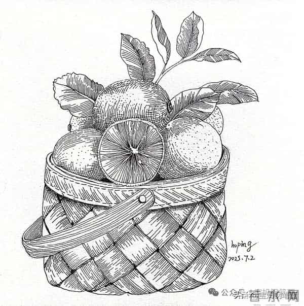 2025年钢笔画作品集，坚持就有收获