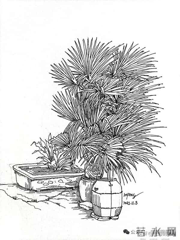 2025年钢笔画作品集，坚持就有收获