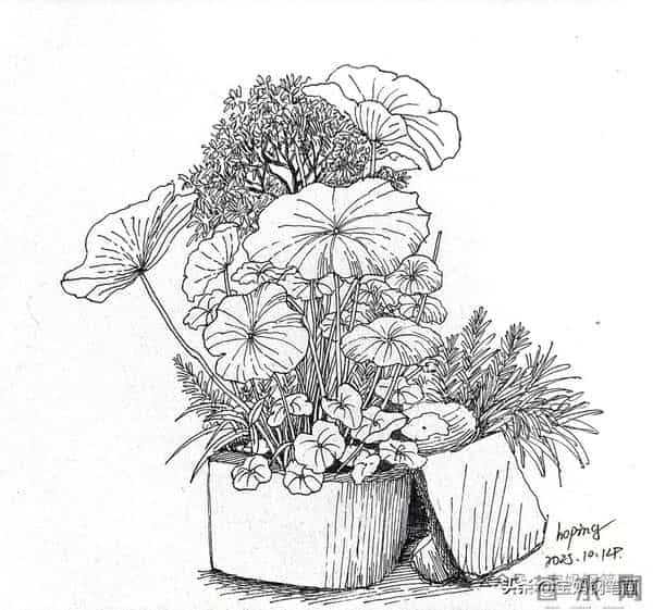 2025年钢笔画作品集，坚持就有收获