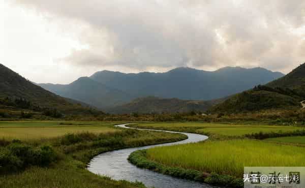 横龙结穴中：鬼星的类型和形态特征