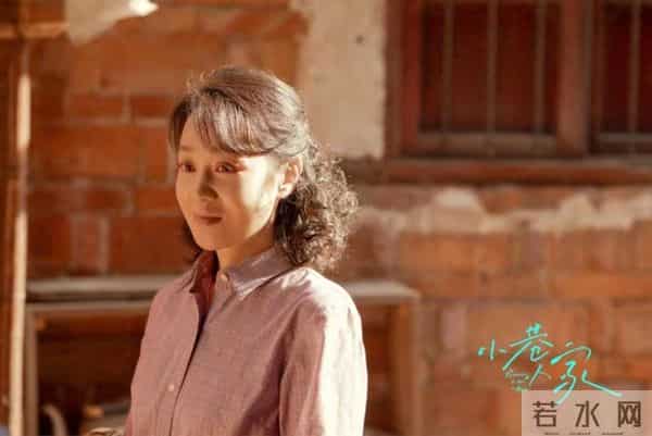 《小巷人家》番外686：黄玲和庄超英带孩子们去阿婆家，快去快回