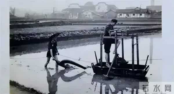 西方学者：全世界只有中国和外国之分，因我们做不到中国人的信仰