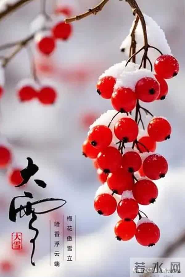 大雪【二十四节气七绝5首】