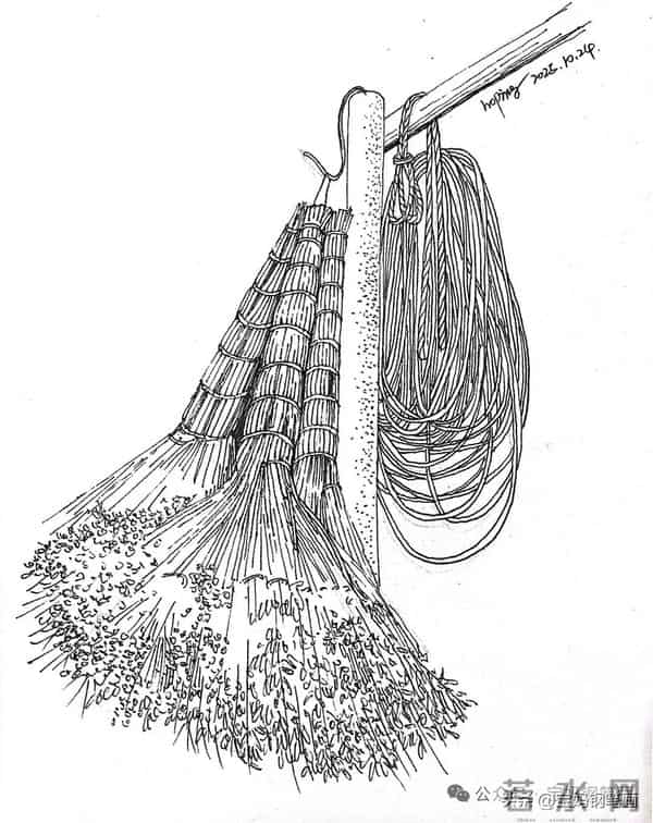 2025年钢笔画作品集，坚持就有收获