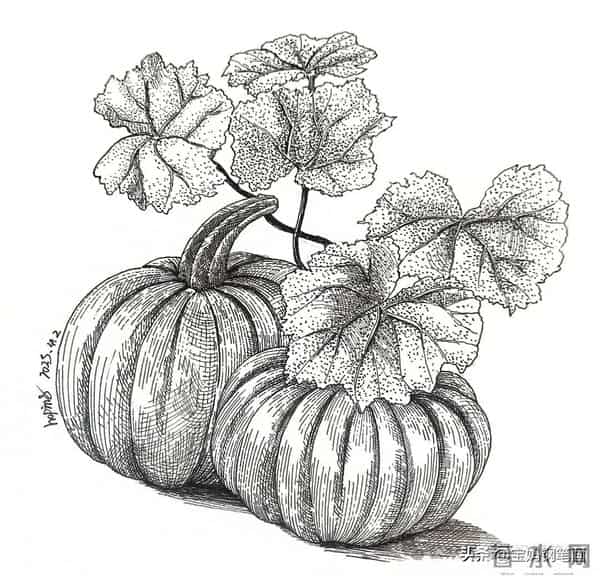 2025年钢笔画作品集，坚持就有收获