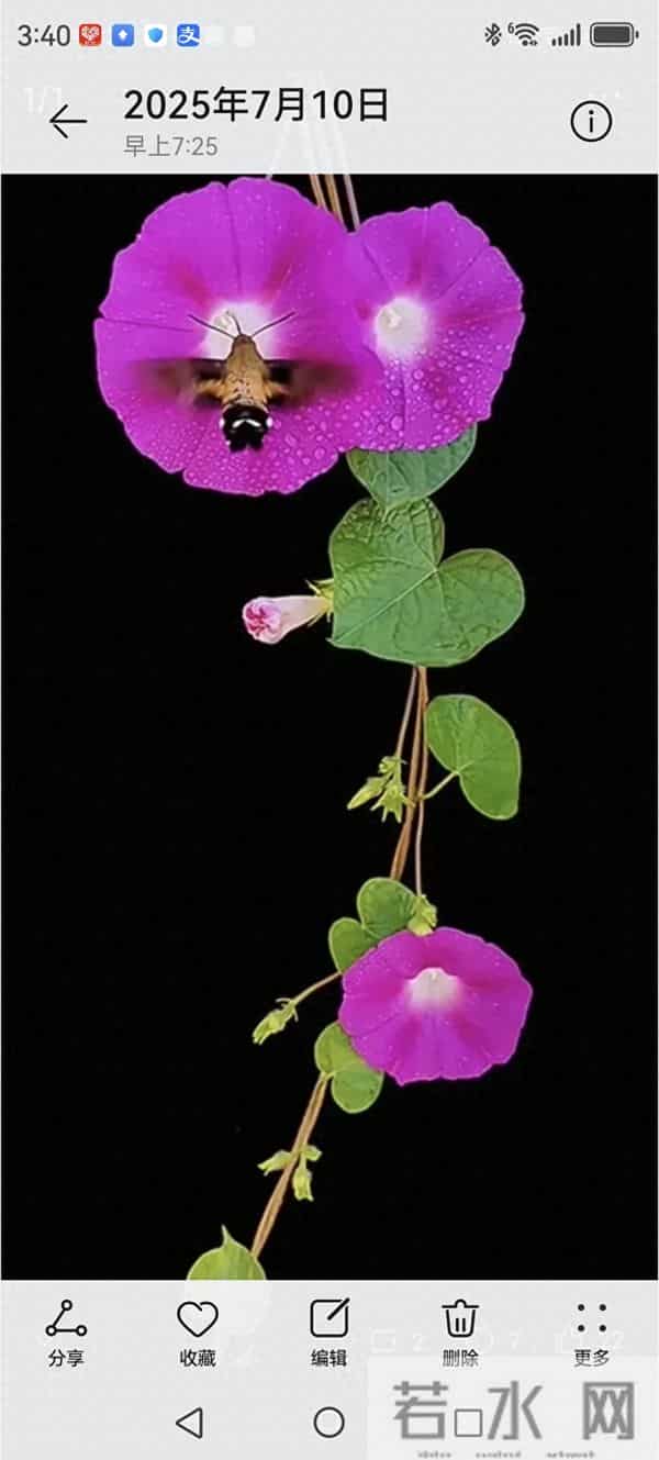 娘家有人（二十一）