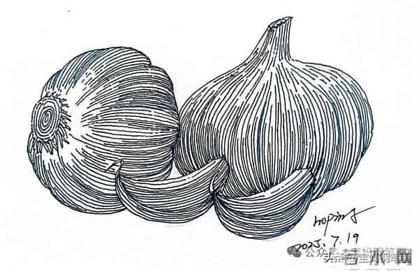 2025年钢笔画作品集，坚持就有收获