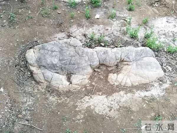 新泰市羊流镇龙石崖村的中华第一石龙传说