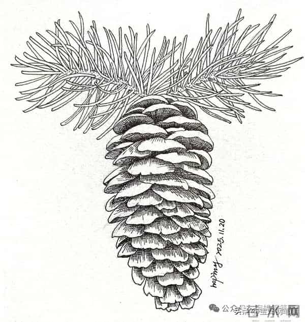 2025年钢笔画作品集，坚持就有收获