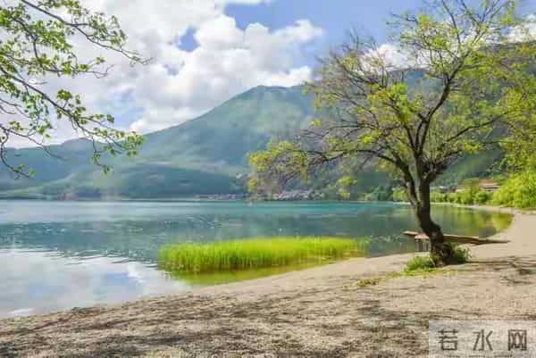性和寿命的关联：命好长寿的男人，身上往往有以下几种特征！