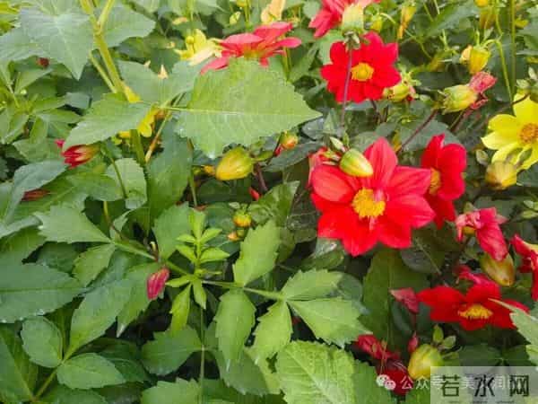 最经典的九篇古文(建议收藏)