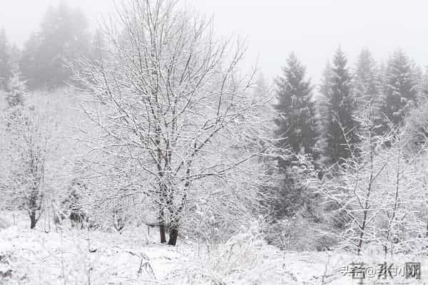 明日十月十五，老人说“十月十五怕天晴”，十月十五天晴啥预兆？