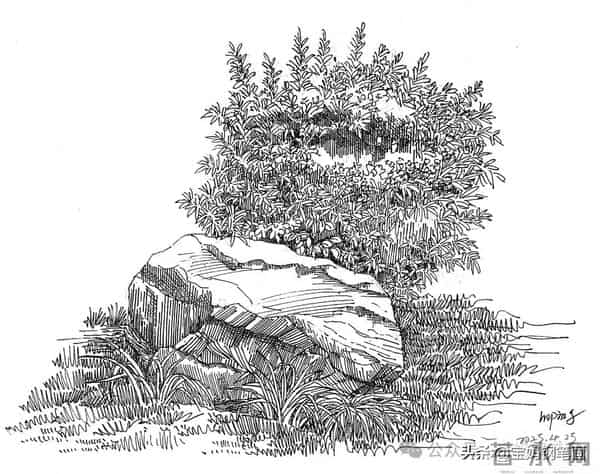 2025年钢笔画作品集，坚持就有收获