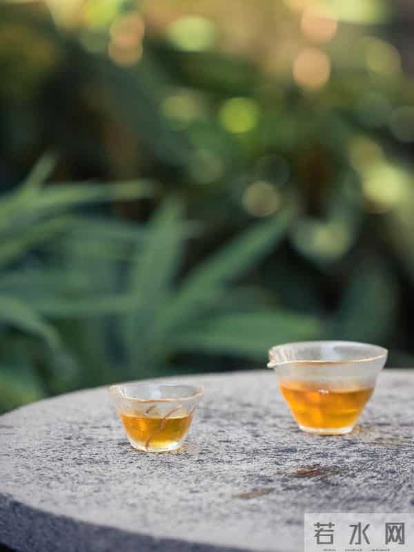 千年虎丘再闻诗咏,单霁翔、牛骏峰、蔡紫在虎丘登高