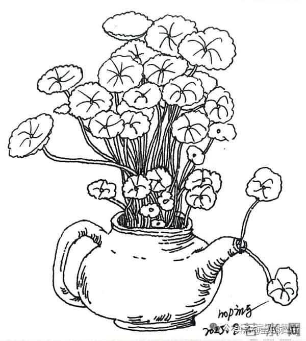 2025年钢笔画作品集，坚持就有收获