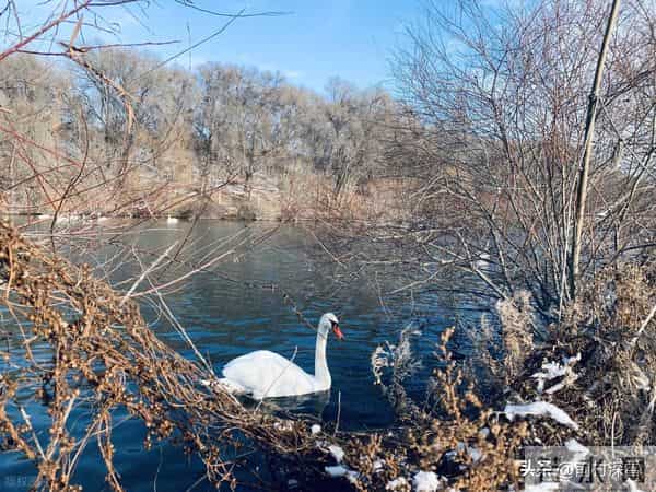 我赌你99%想不到这9首才华横溢的千古巨作竟是即兴之作！